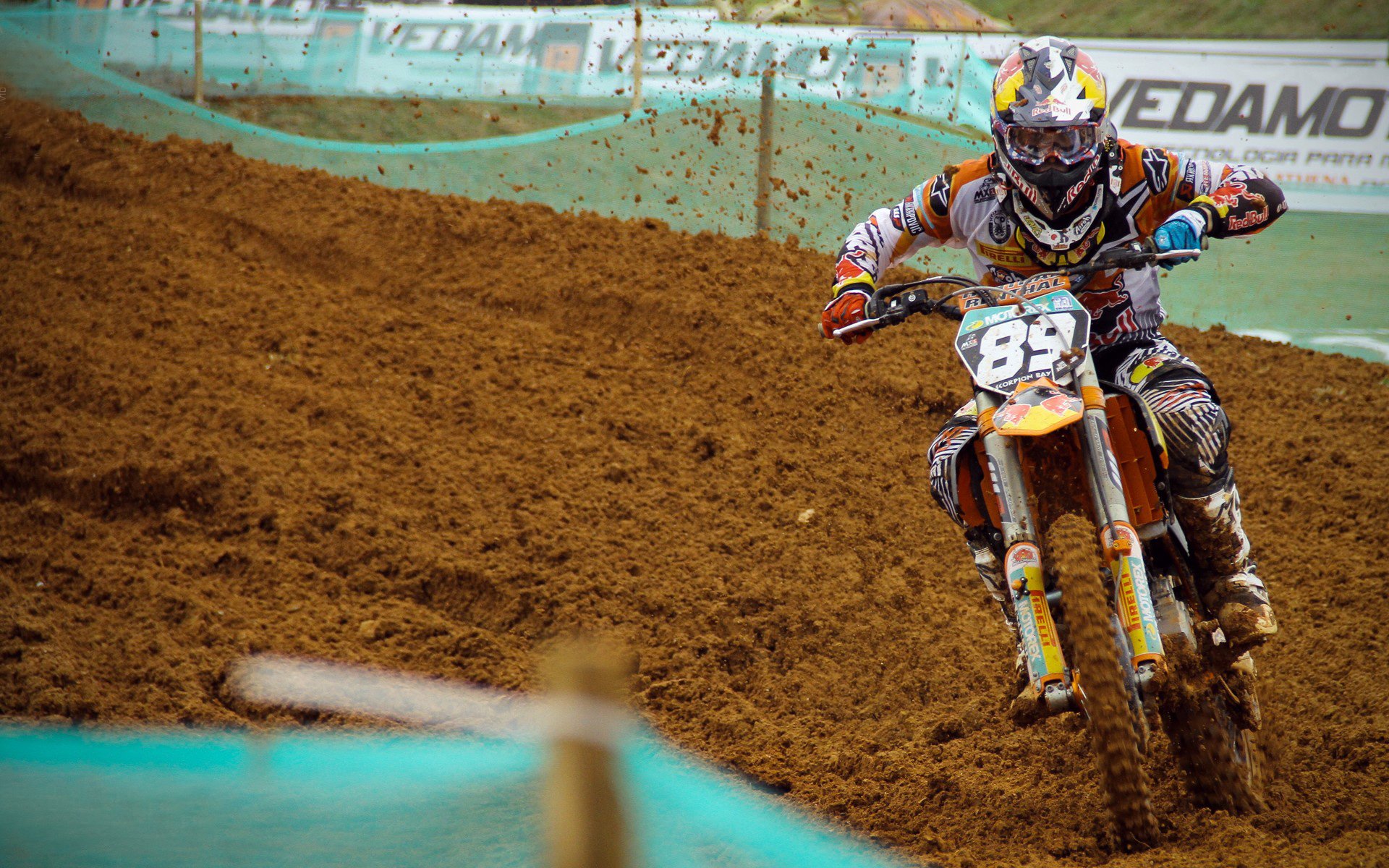 国际特奥融合运动会 健康伙伴与特奥选手并肩作战